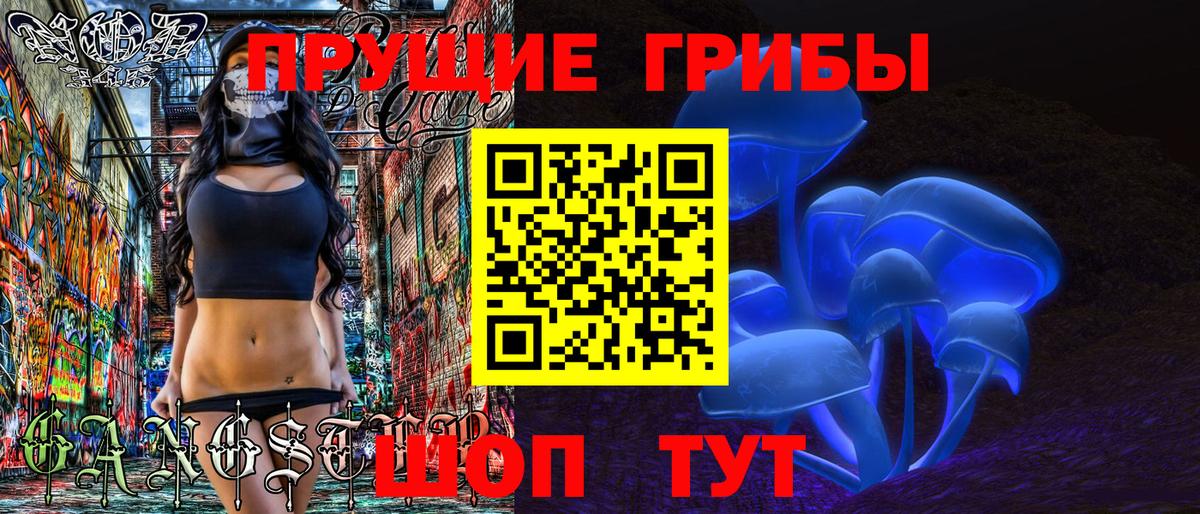 Псилоцибиновые грибы Psilocybine cubensis Топки