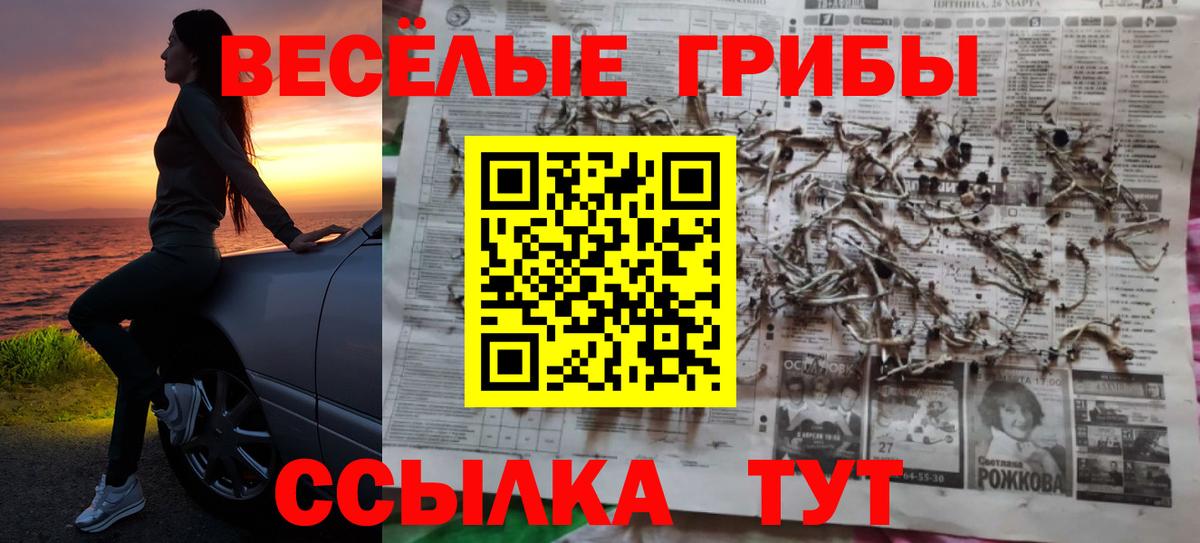 Псилоцибиновые грибы Cubensis  Вход с VPN  Топки 