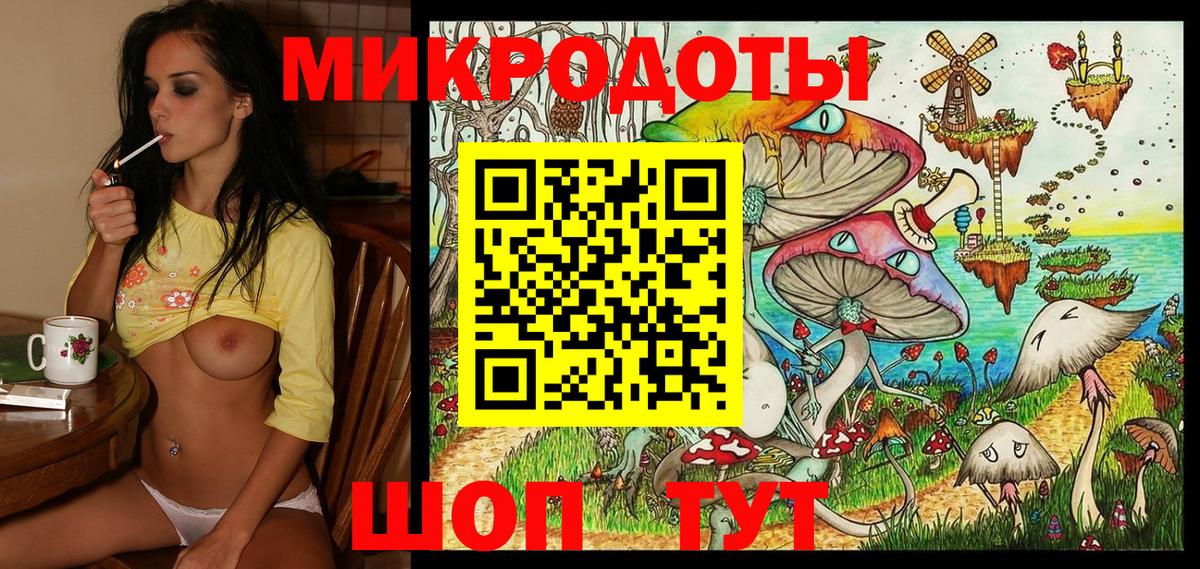 Псилоцибиновые грибы Psilocybe  Топки 